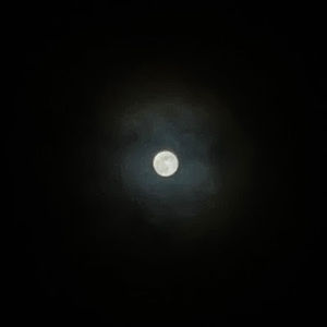 Meet your Posher, Gregory